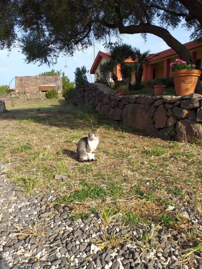 Agriturismo Conca' e Janas Dorgali Exterior foto