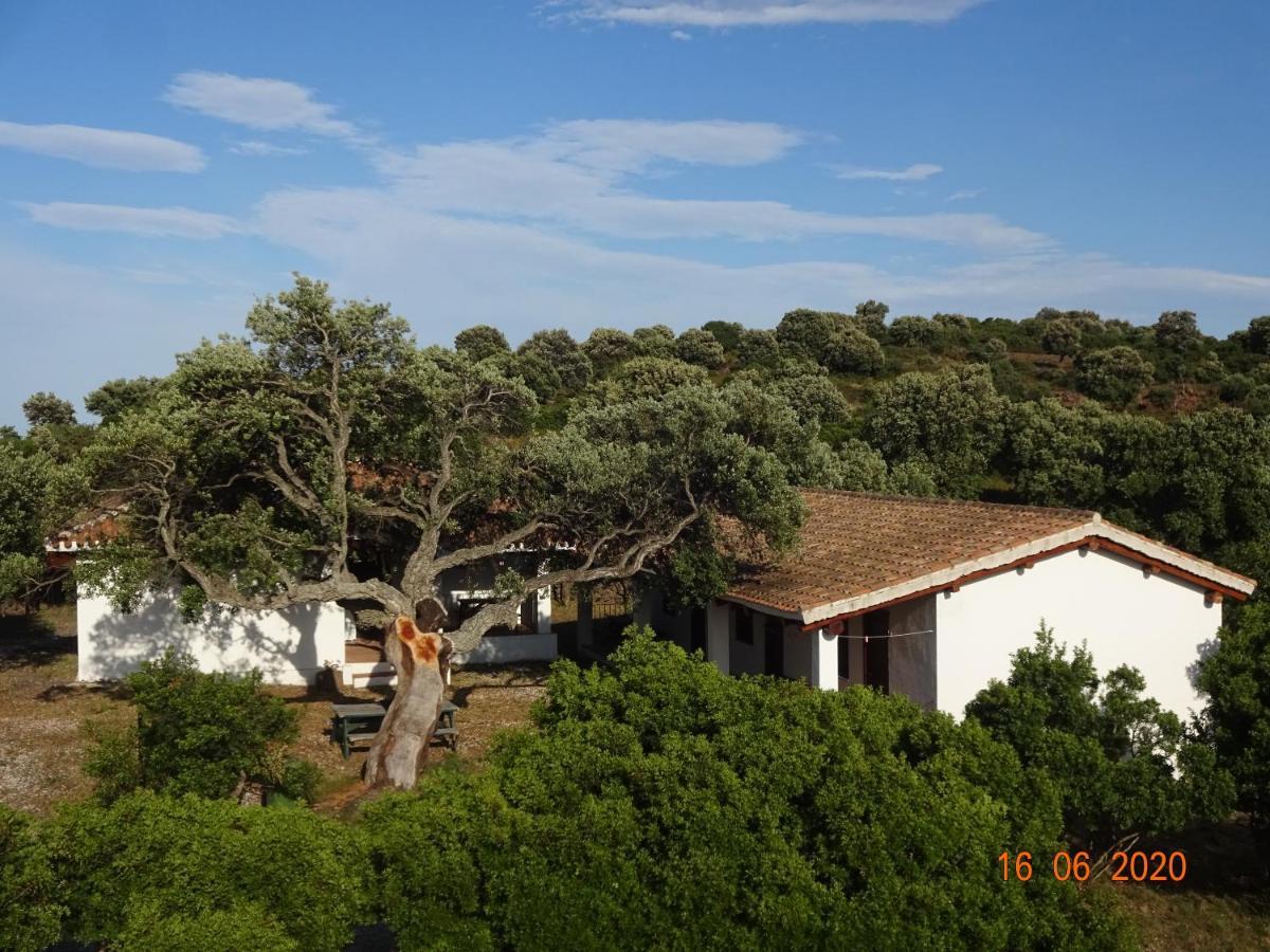 Agriturismo Conca' e Janas Dorgali Exterior foto