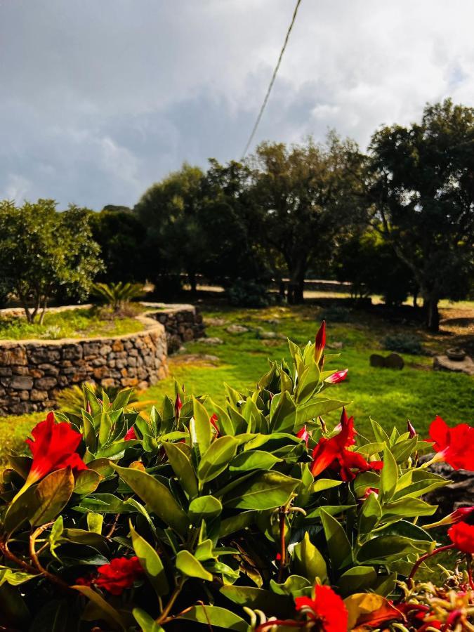 Agriturismo Conca' e Janas Dorgali Exterior foto