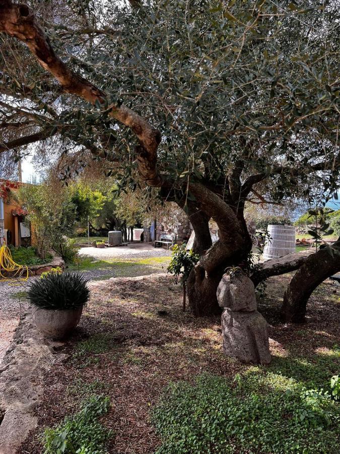 Agriturismo Conca' e Janas Dorgali Exterior foto