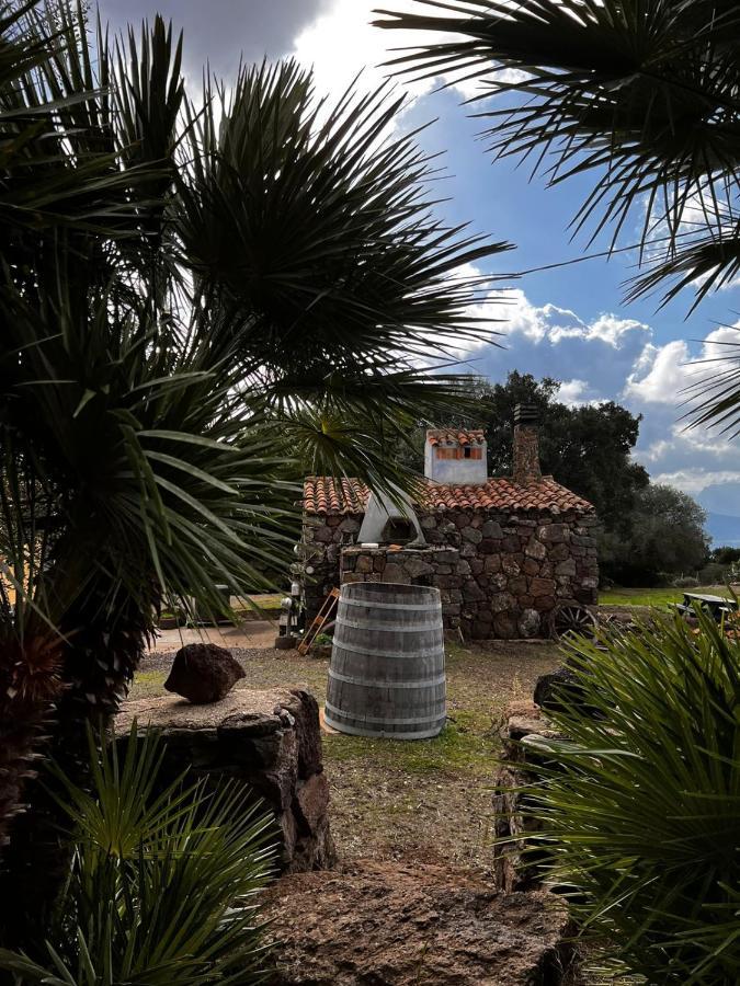 Agriturismo Conca' e Janas Dorgali Exterior foto