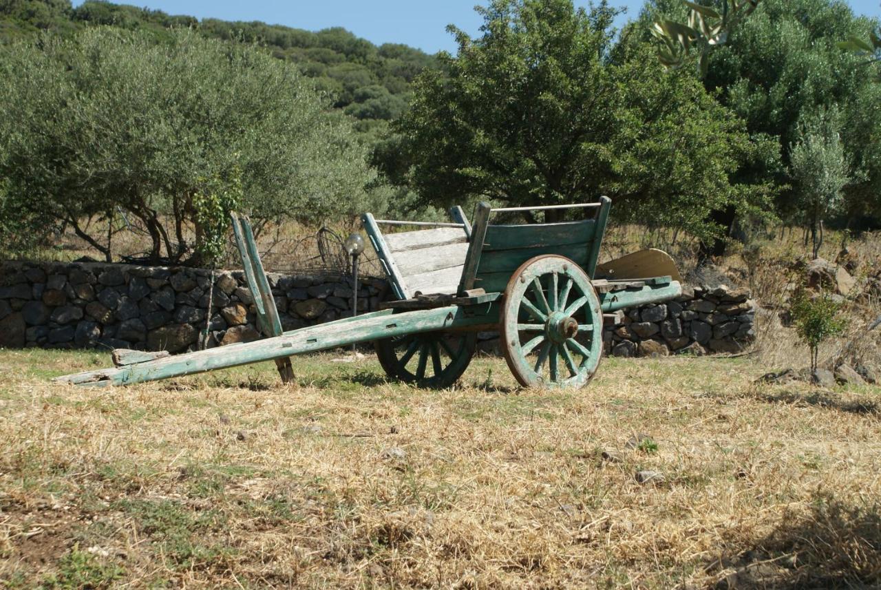 Agriturismo Conca' e Janas Dorgali Exterior foto