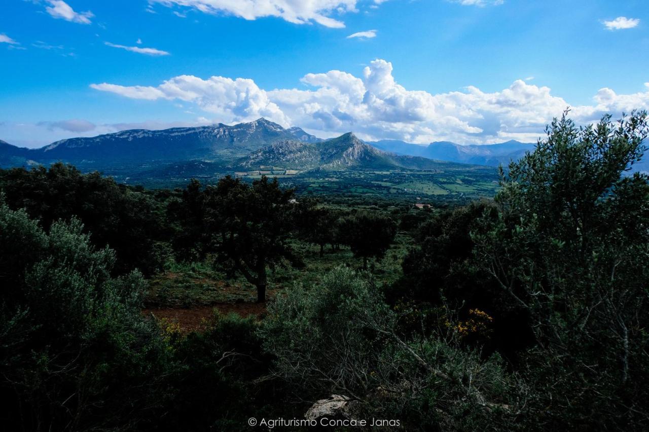 Agriturismo Conca' e Janas Dorgali Exterior foto