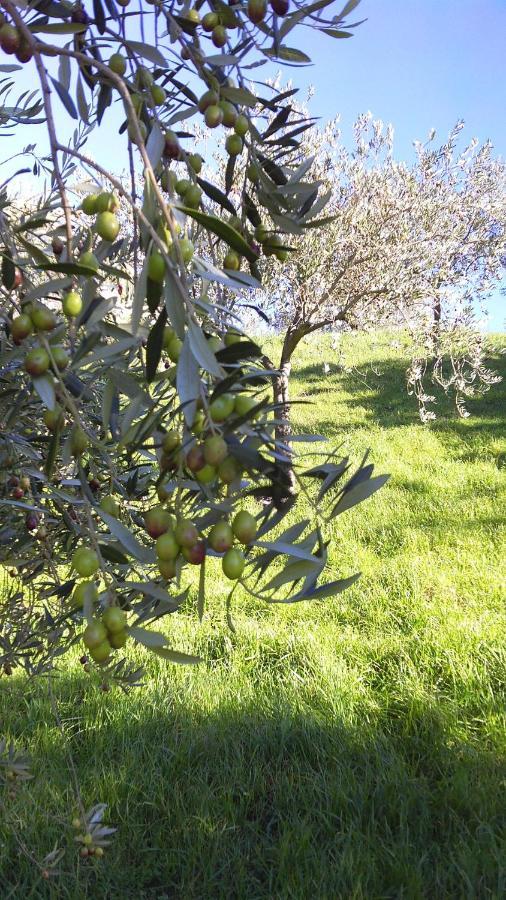 Agriturismo Conca' e Janas Dorgali Exterior foto