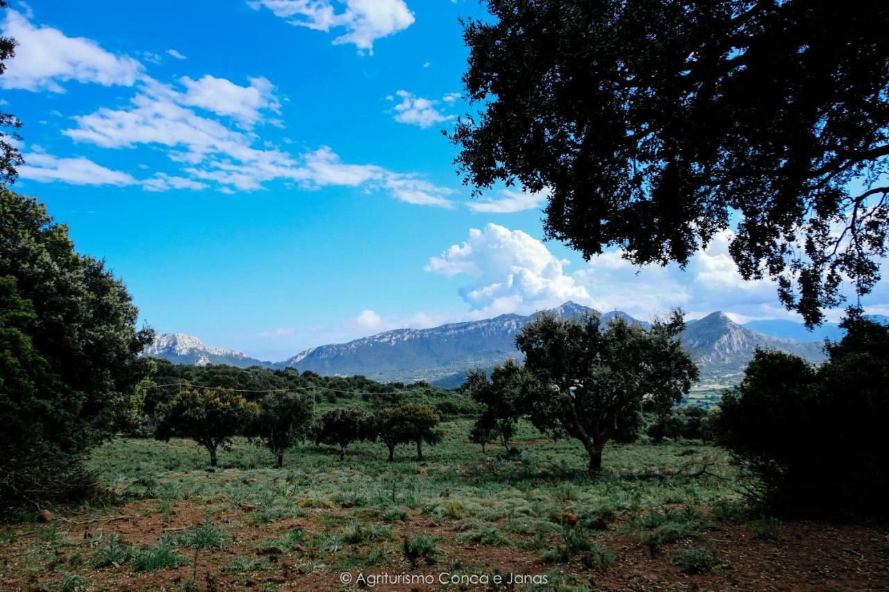 Agriturismo Conca' e Janas Dorgali Exterior foto