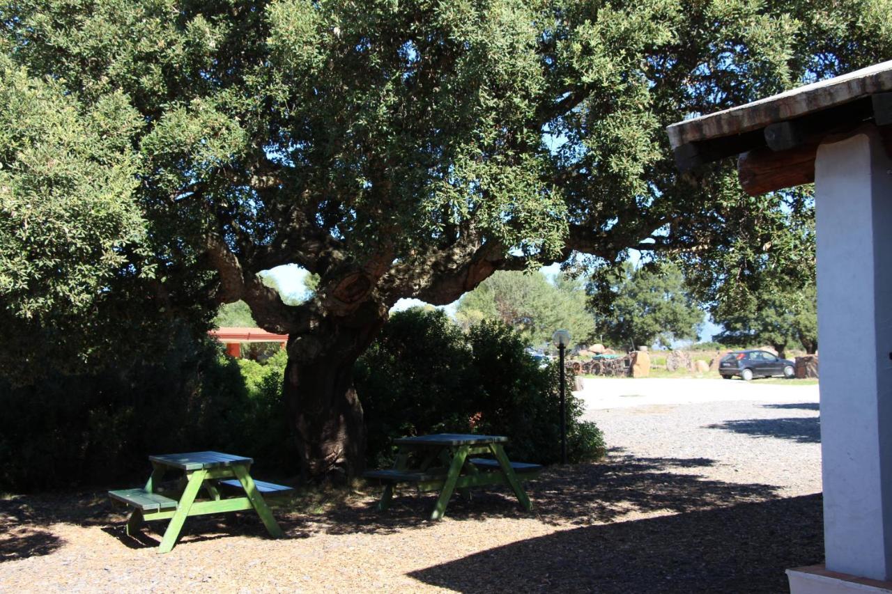 Agriturismo Conca' e Janas Dorgali Exterior foto